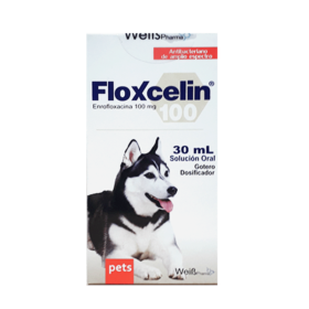 Floxcelin Oral