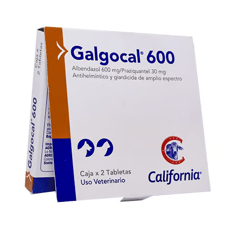 Galgocal? 600