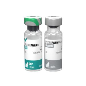 PUREVAX RCP (TRIPLE FELV) X 1DOSIS