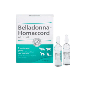 BELLADONA HOMACCORD AMPOLLA X 1.1 ML