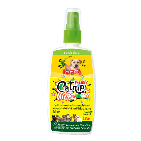 Catnip Freshly 120 Ml