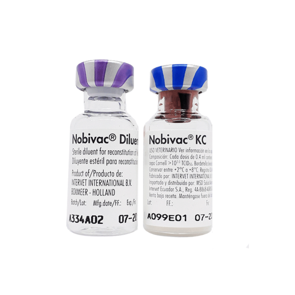 Nobivac® KC (Intranasal) x1 dosis