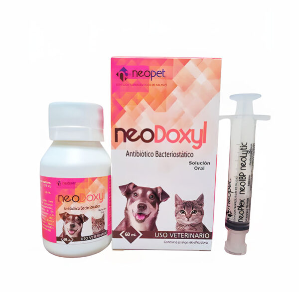 NEOLYTIC X 60 ML