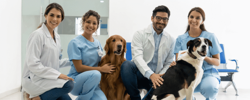 Mercadeo-para-tu-clínica-veterinaria