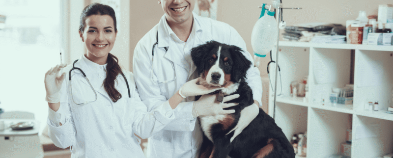 Nutracéuticos-mascotas
