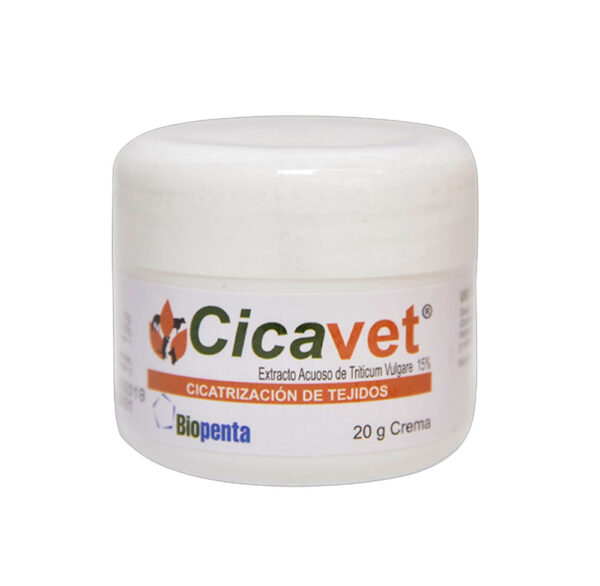 CICAVET