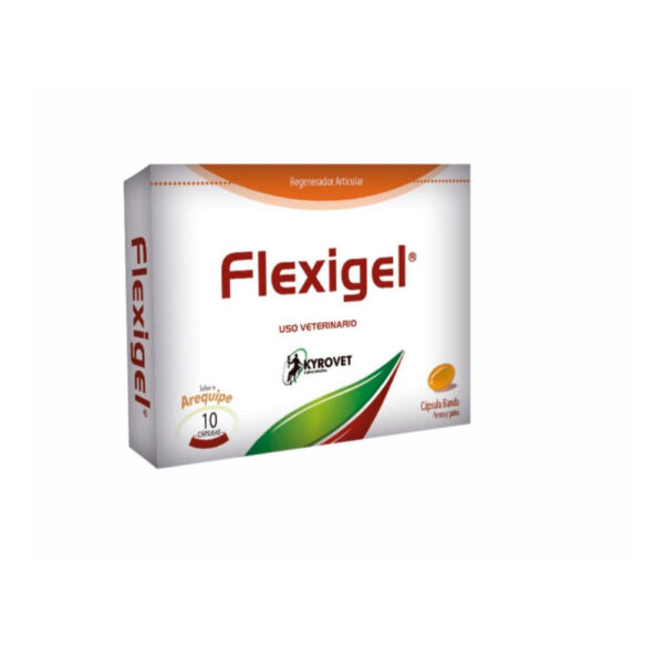 FLEXIGEL CJA X 10 TAB